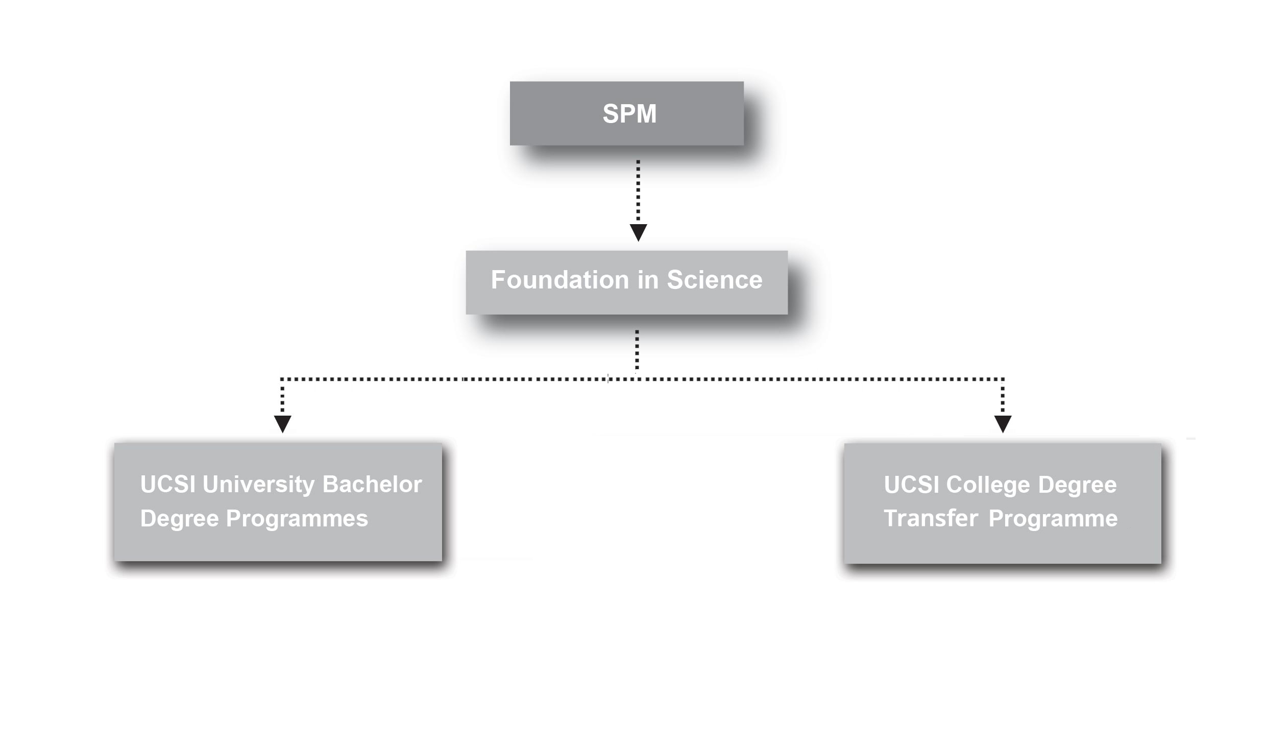 Foundation In Science